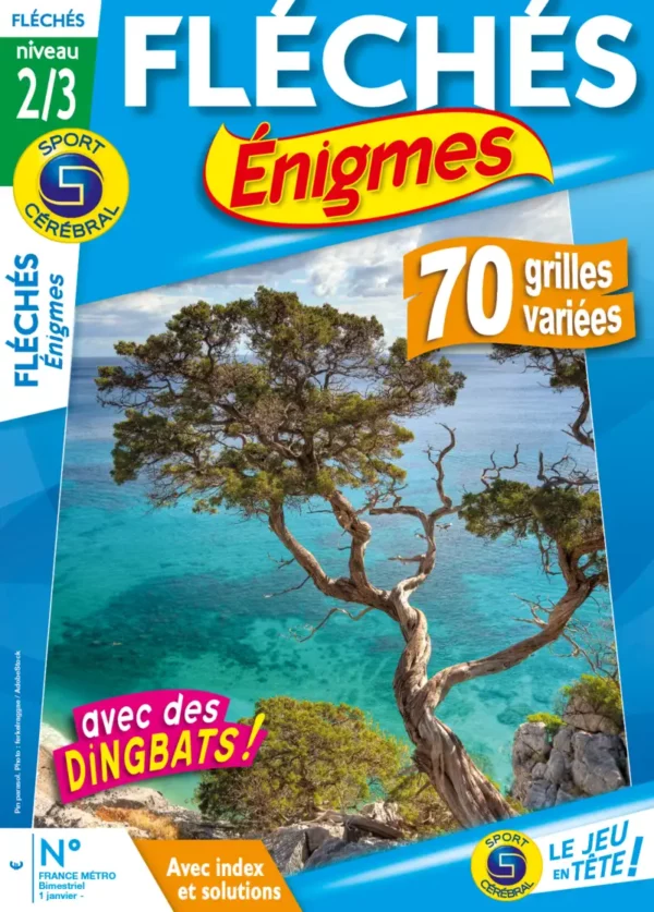 Fléchés Enigmes