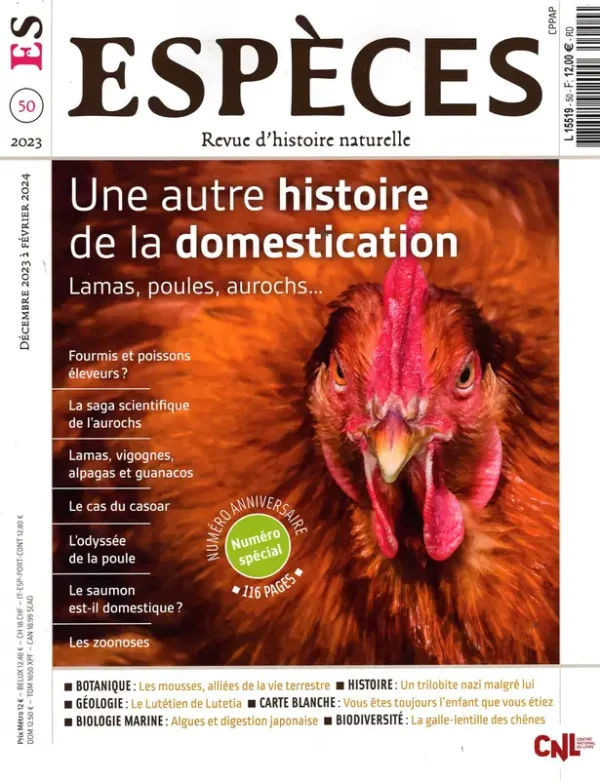Espèces – Image 4