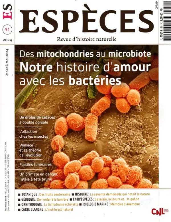 Espèces – Image 3