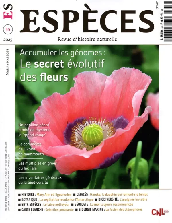 Espèces
