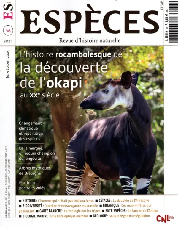 Espèces